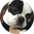 ภัษนันท ปาริกพัตร์ profile picture